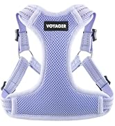 Best Pet Supplies Voyager Adjustable Step-in Flex Breathable Mesh Dog Harness for Small Medium La...
