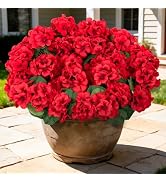 Besteek 8 Pcs 17" Artificial Geranium Flowers for Outdoors, Fake Silk Flowers UV Resistant Realis...
