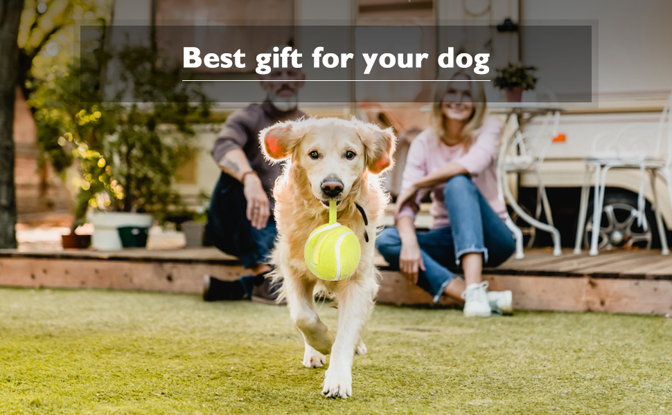 smart jumping ball dog toy