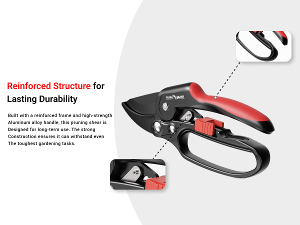 pruning snip
