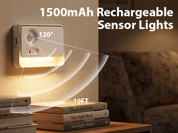 motion sensor wall light