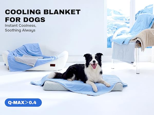 cooling blanket for dogs