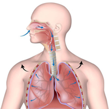 nose external dilators aid sleep kit