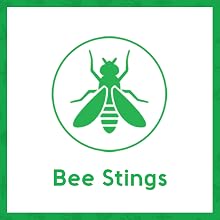 Sting Kill for bee stings, mosquito bites and bug bite first aid relief