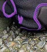 JYBTAA Work Knee Pads for Men/Women Kneeling on Hard Floor, Padded Knee Cushion with Straps for G...