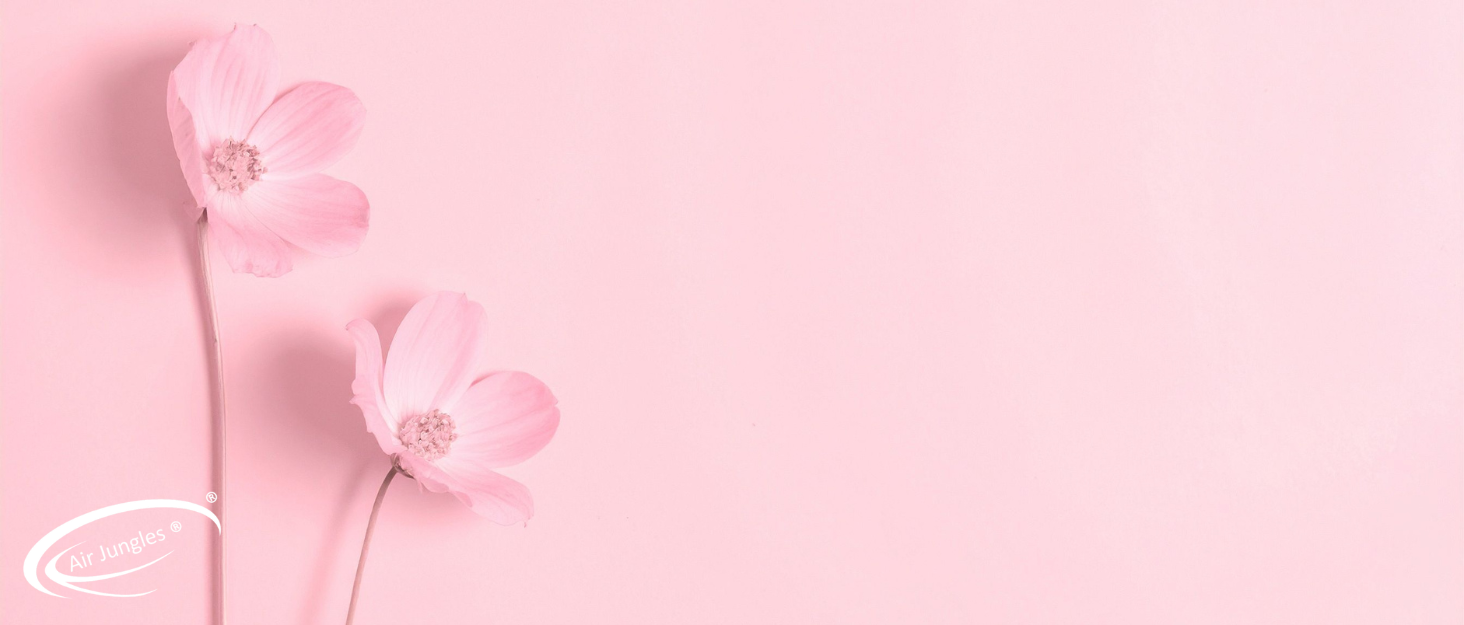 pink gift