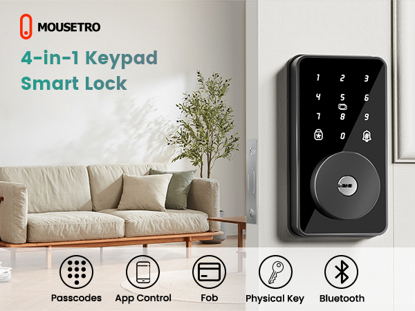 smart lock