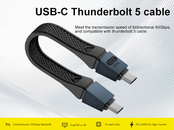 short usb c cable 5 inch