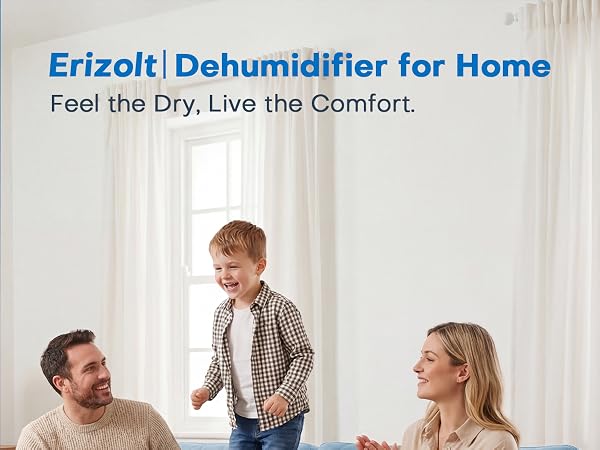 Dehumidifier