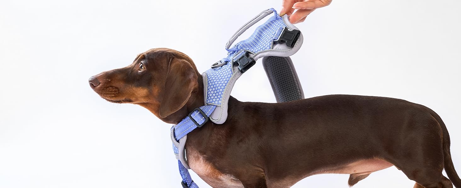 escape proof dog harness