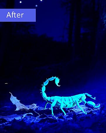 uv resin lamp