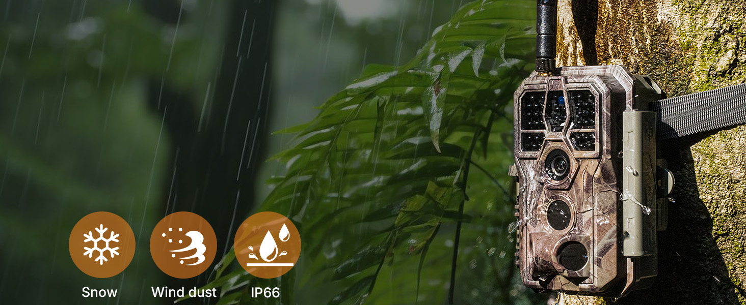 IP66