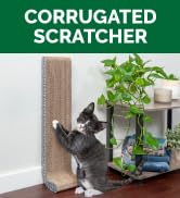 furhaven corrugated cat scratcher kitten