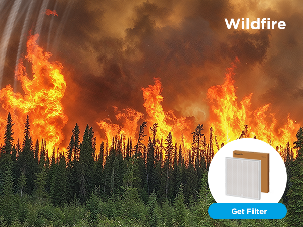 wildfire
