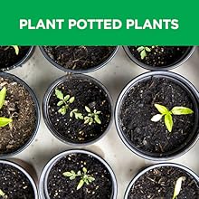 Plant Potted Plants, Bulbs & Vegetables