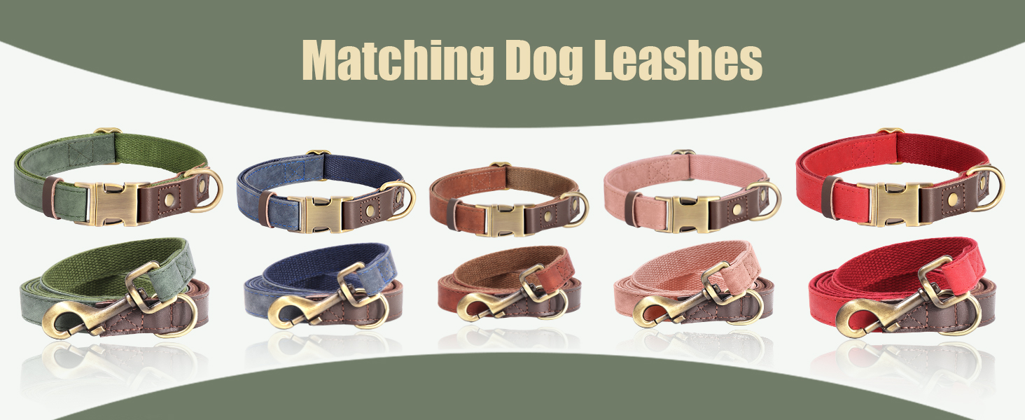 CP511 leather dog collar