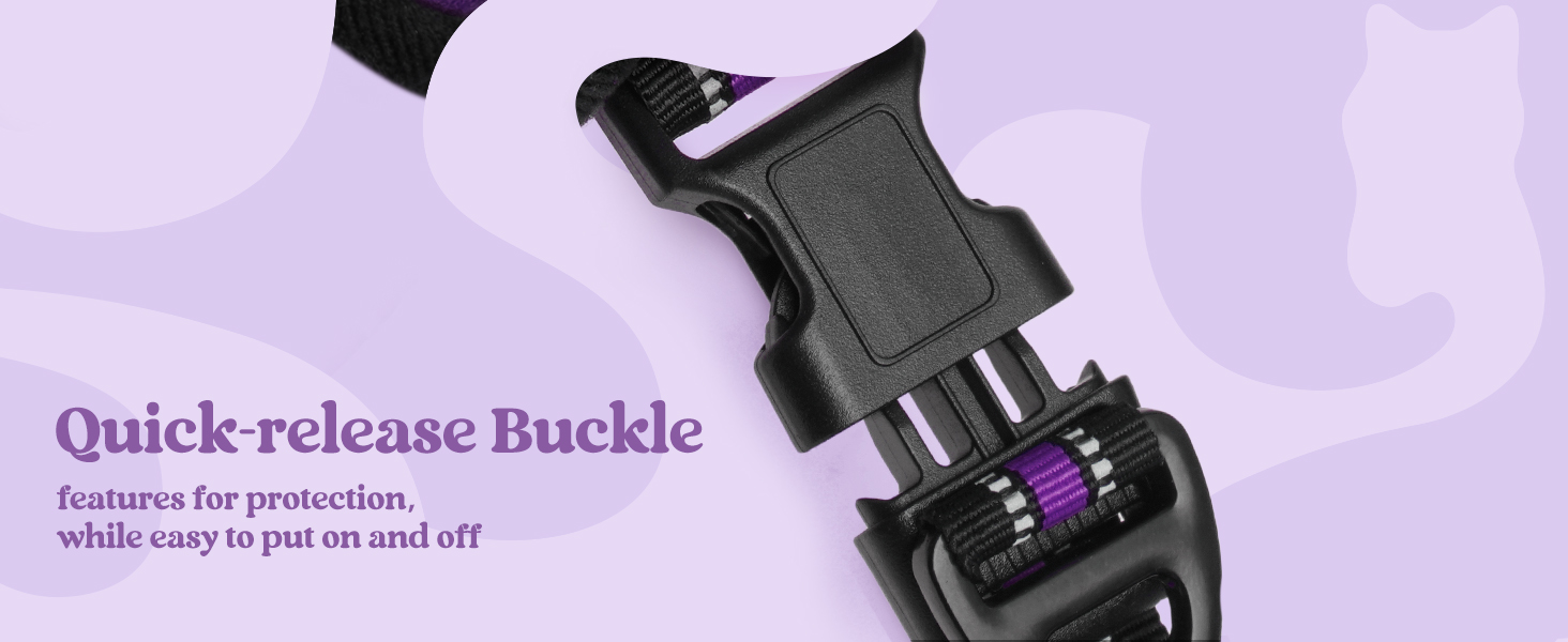 buckle