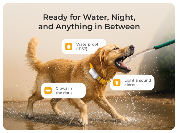 Petcube GPS Tracker for dogs
