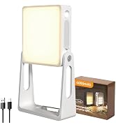 PopoIron LED Camping Lantern, 4000mAh Camping Lights with 3 Colors and Dimmable Brightness, Recha...