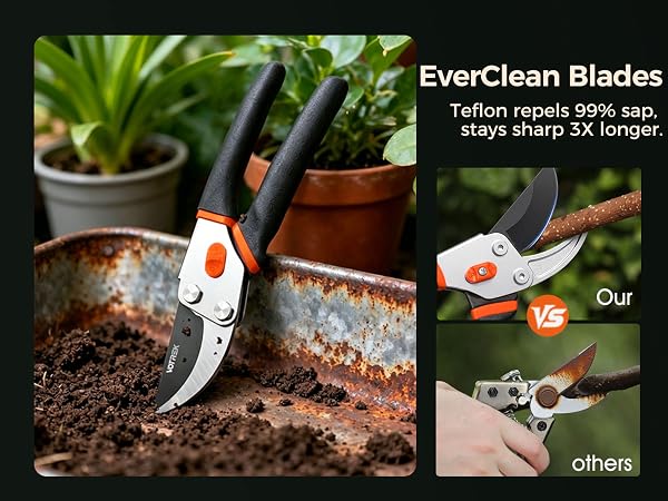 plant shears