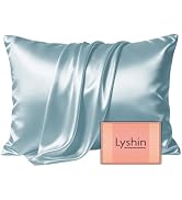 LYSHIN Silk Pillow Cases Standard Size with Hidden Zipper, Haze Blue | 19 Momme Mulberry Silk Pil...