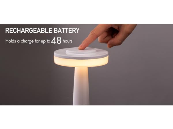 TL01