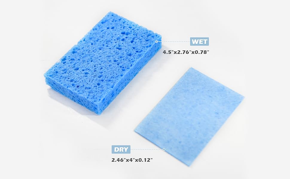 sponge