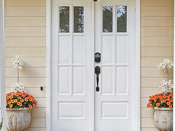 smart keyless entry door lock