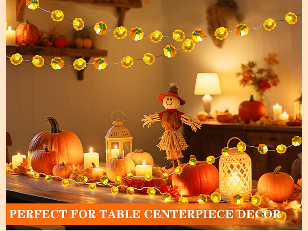 pumpkin lights-4