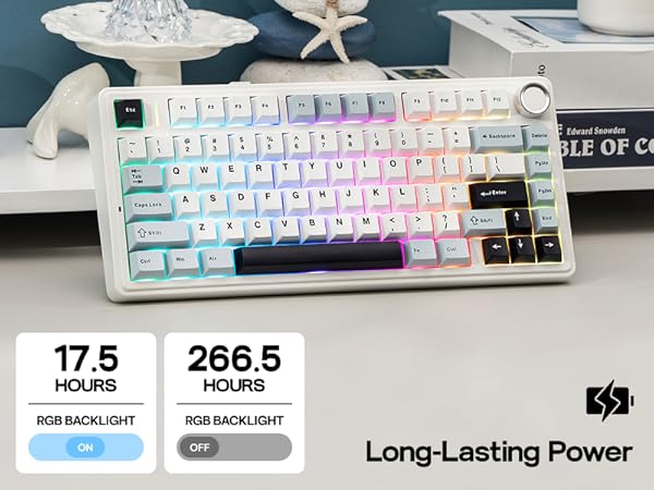 75% Wireless Gaming Keyboard