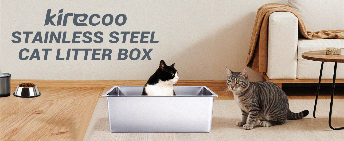 litter box