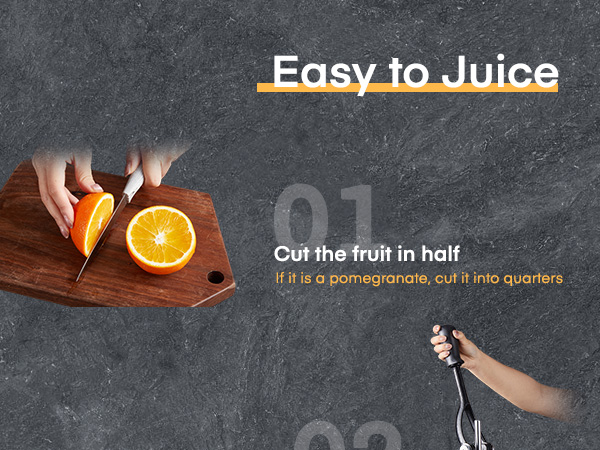 manual juicer
