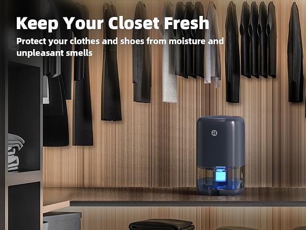 dehumidifier