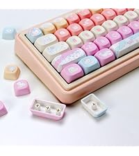 https://m.media-amazon.com/images/I/41ZY8RcvVXL.__AC_SR200,225___.jpg