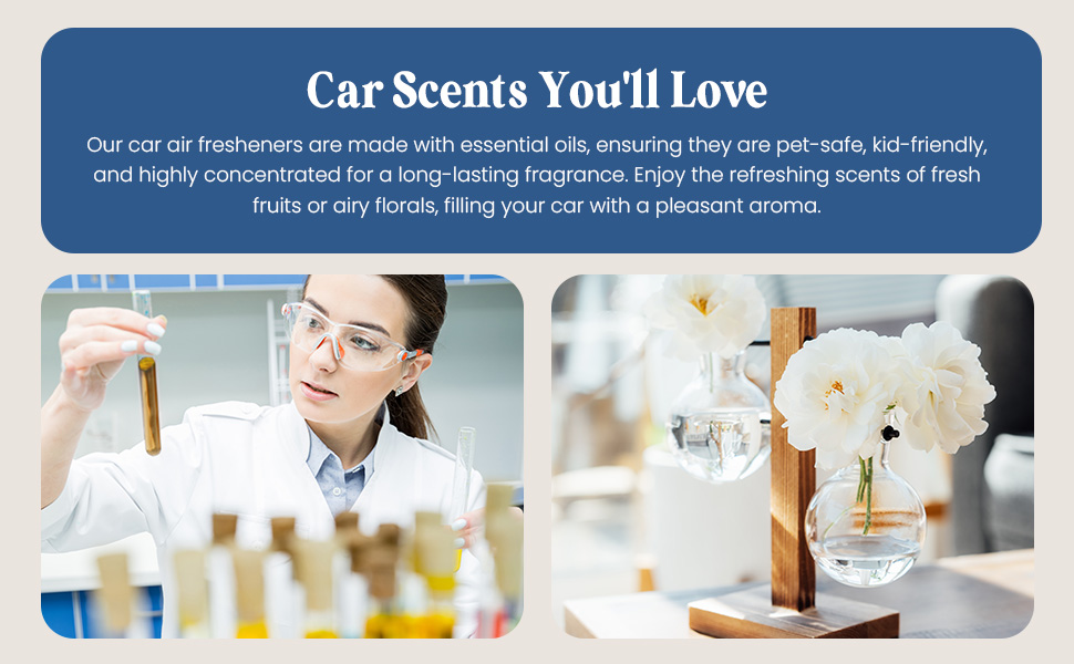 car fresheners long lasting