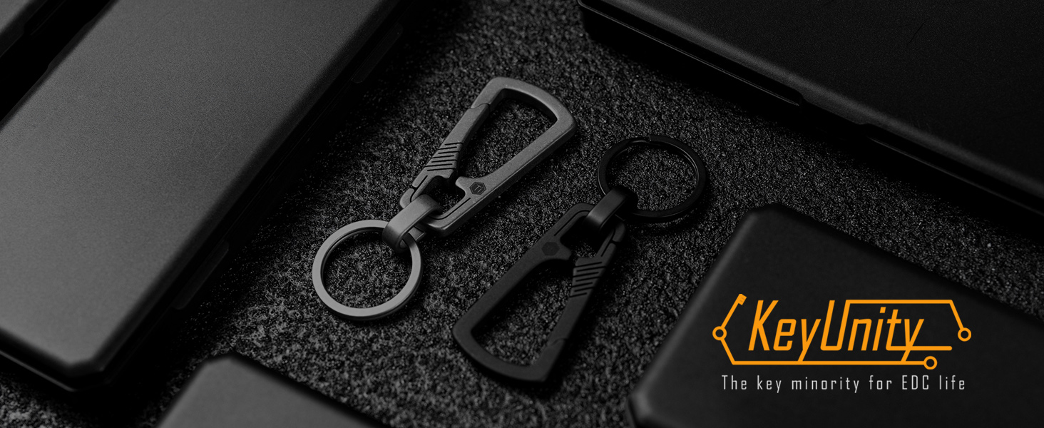 carabiner key organizer