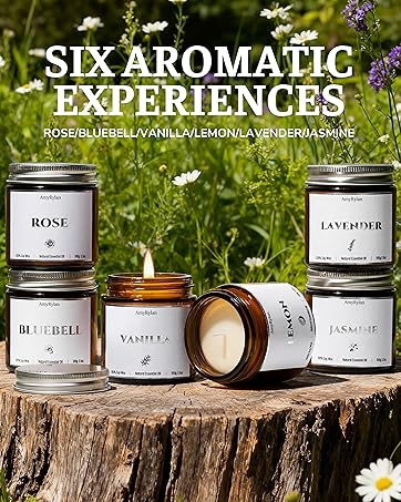 https://m.media-amazon.com/images/S/aplus-media-library-service-media/0ca9d2d4-e539-4d82-a95e-dab021e447a7.__CR0,0,3620,4530_PT0_SX362_V1___.jpg