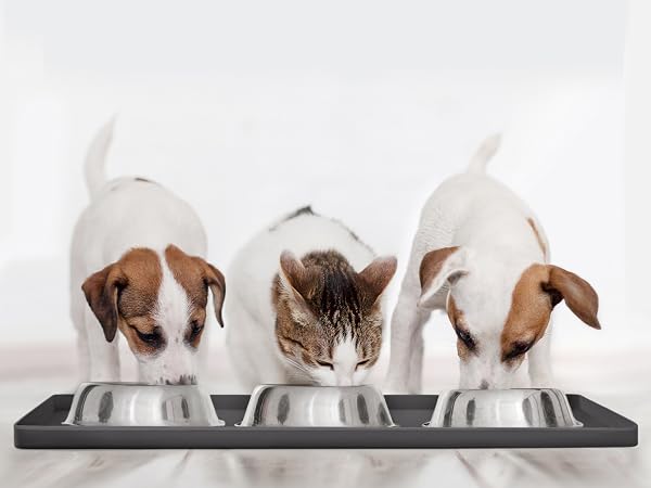 dog supplies food mat deals cat for dogs silicone and water bowl accessories pet stuff boot tray
