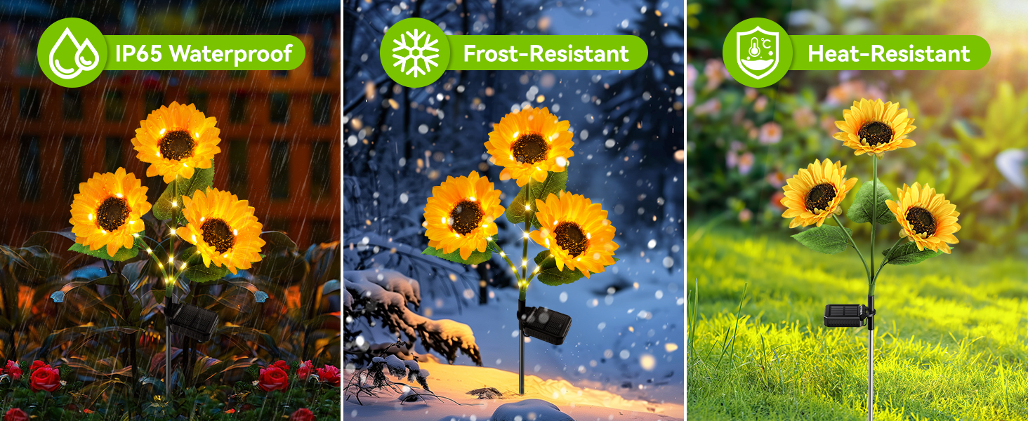 solar lights