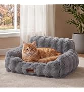 ZOMISIA Orthopedic Cat Couch Bed for Indoor Cats, Removable Washable Cover | 24x18'' Cute Cat Sof...