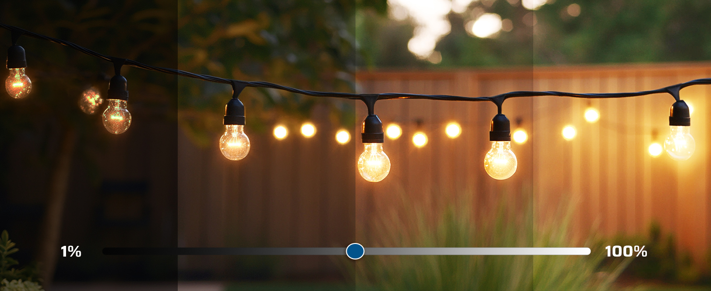Dusk to Dawn Dimmer