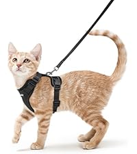 https://m.media-amazon.com/images/S/aplus-media-library-service-media/ae85eca0-c9aa-44cb-abfc-9bd50eac45bf.__AC_SR200,225___.jpg