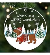 Dachshund Ornament, Weiner Dog Ornaments for Christmas Tree, Acrylic Pet Christmas Decor - Dachsh...