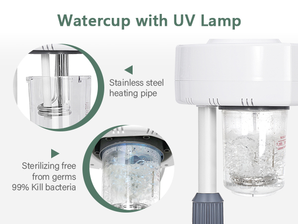 facial steamer
