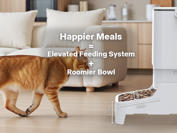 automatic dog feeders