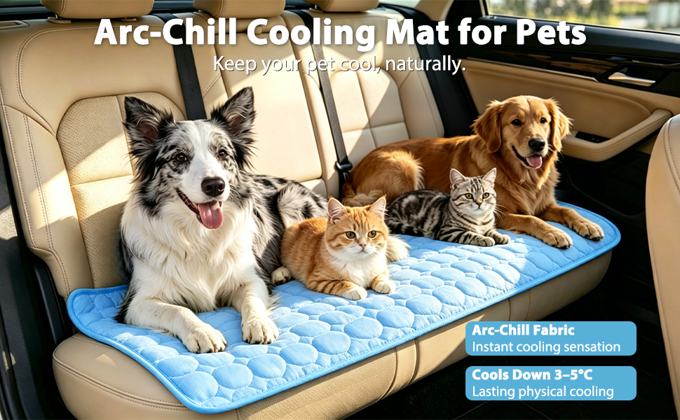 dog bed mat