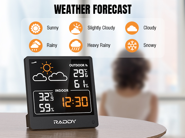 Raddy WF-50V Indoor Outdoor Thermometer Hygrometer