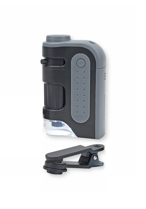 carson microscope microbrite pro, pocket microscope, microscope kit, digiscoping, phone microscope