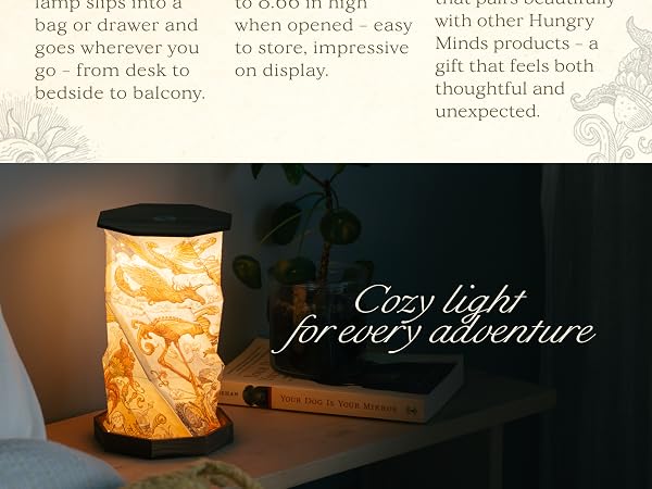 cozy light for every adventure