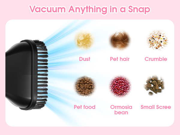 vacuum anything in a snap